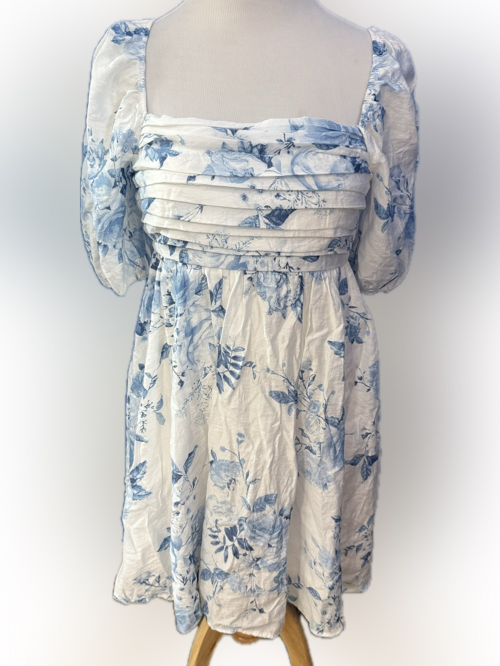 Blu Pepper White and Blue Floral Mini Dress (M)